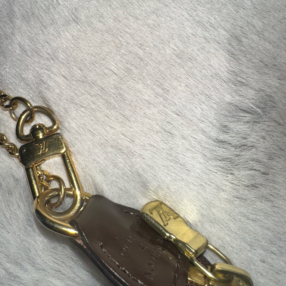 Louis Vuitton Mini Pochette Accessoires - Picture 6 of 7